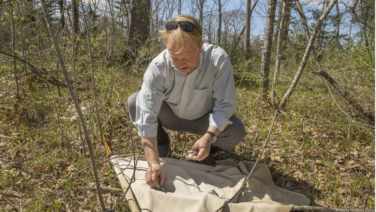 Climate Change Fuels Tick-Borne Illness Concerns Amidst Viral Conspiracy Theories