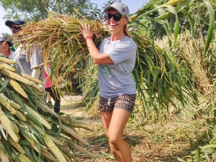Phuket'te Turizmin Etik Boyutu: Tiina Tiitinen'in Deneyim ve Çabaları