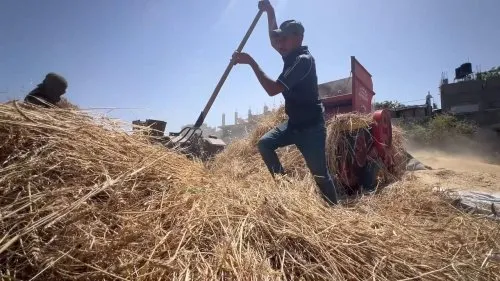 Çin'de Yapay Zeka Okuryazarlığı Atağı: Geleceğin Mesleklerine Yatırım