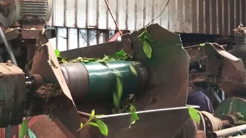 Çin'de Yapay Zeka Okuryazarlığı Atağı: Geleceğin Mesleklerine Yatırım