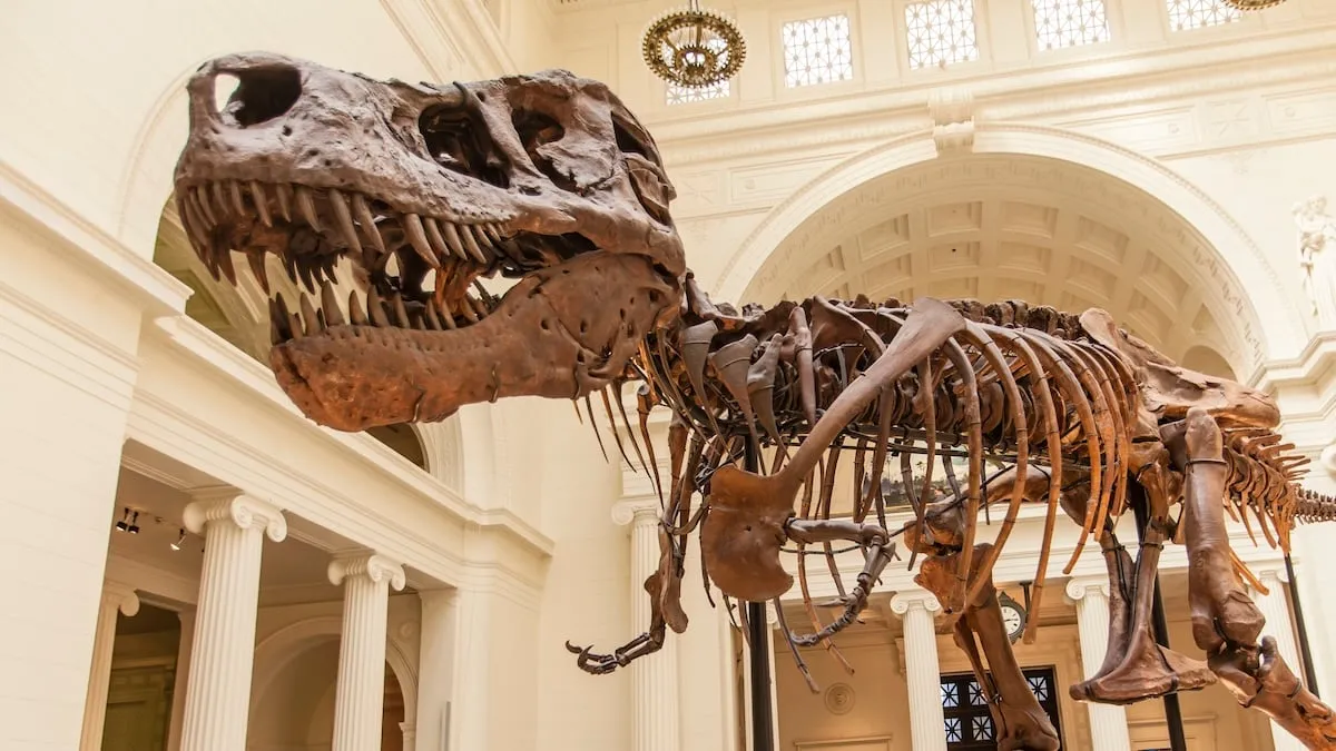T-Rex'in Kısa Kolları Neden Evrimleşti? Yeni Araştırma Işığında Paleontolojik Analiz