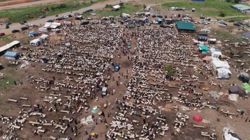 Sierra Leone'de Drone Görüntüleriyle Kaydedilen Kurban Bayramı Namazı