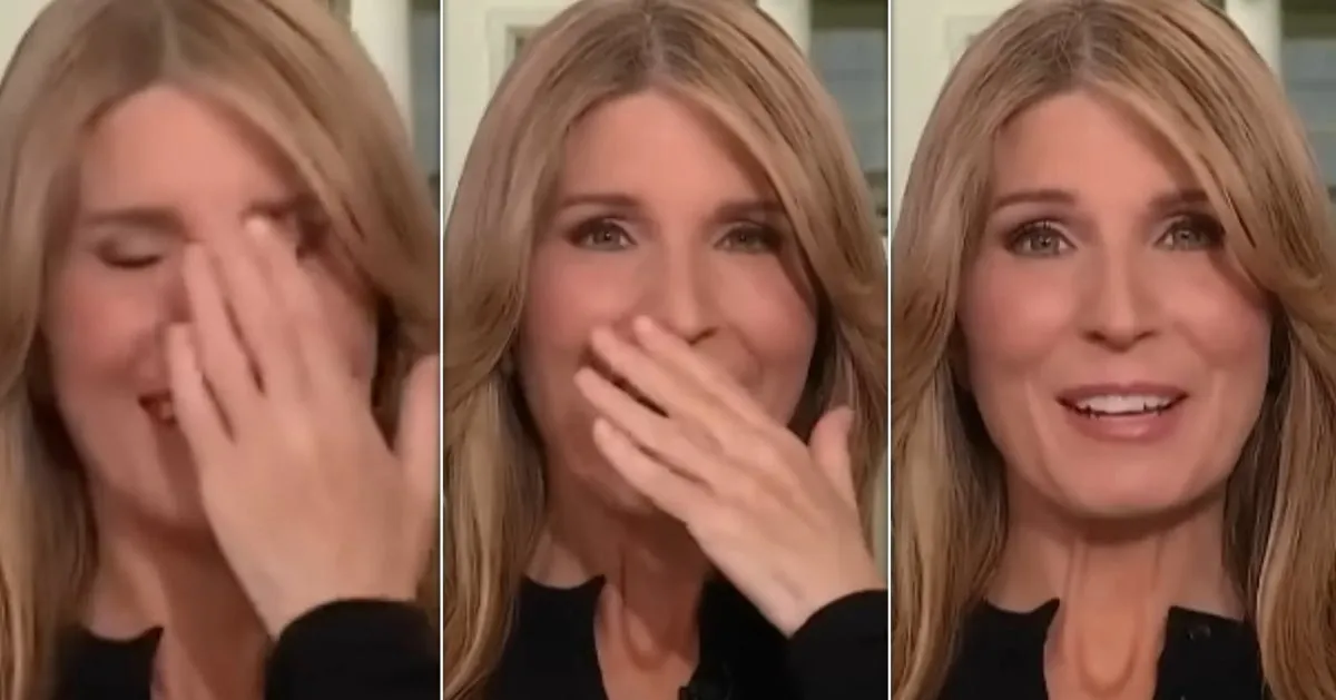 Nicolle Wallace Reacts to Trump Cabinet's Flattery: 'I Thought That Was AI'