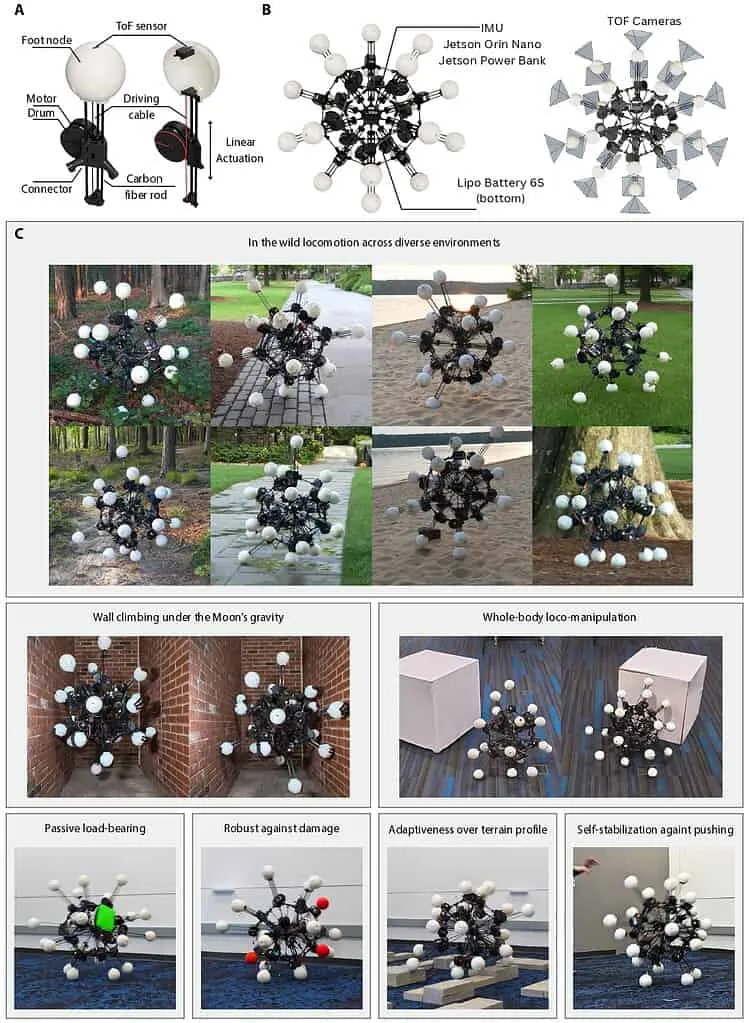 Argus: Yüzü ve Önü Olmayan, Omnidireksiyel Robot Teknolojisinde Yeni Bir Devrim