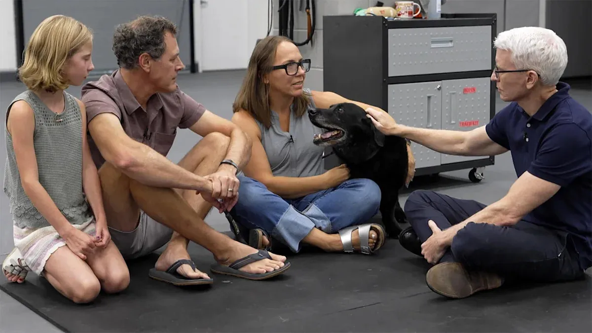 Köpeklerin Yaşlanma Bilimindeki Rolü: Ralph'ın Hikayesi İle Demans Araştırmaları