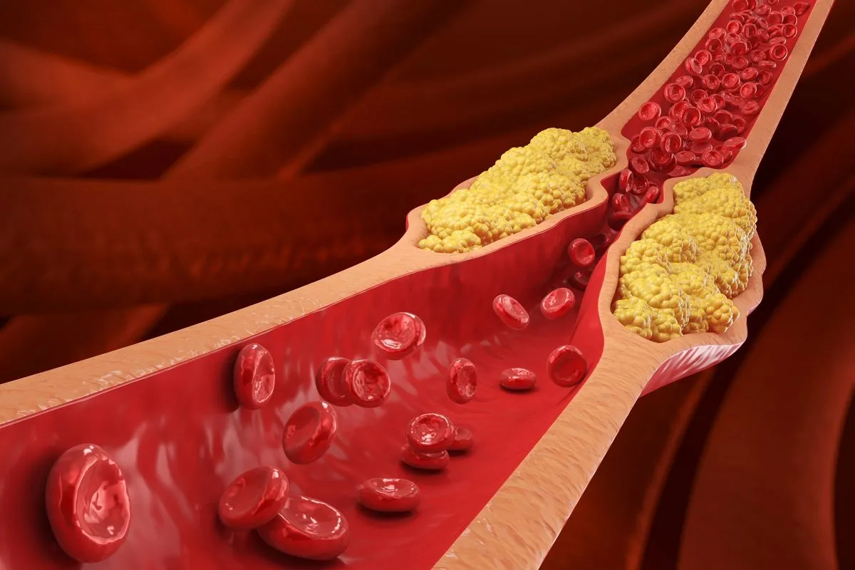 Peptitlerin Vücut Fonksiyonlarını İyileştirmedeki Rolü ve Bilimsel Yaklaşım