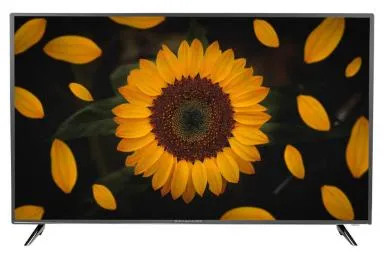 Panoramic SC277 43 inç Model TV