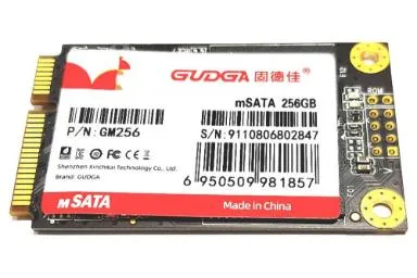 Gudga Msata 256Gb