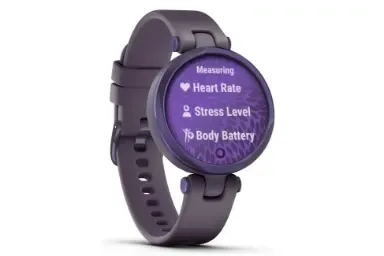 Karşılaştırma Garmin Lily Sport Edition {request()->input('language_config')['common']['with']} Oppo Watch 2