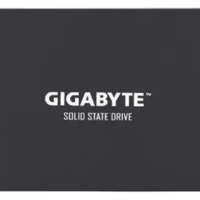 Gigabayt Gp Gstfs31256Gtnd Sata 2 5 Inch 256Gb