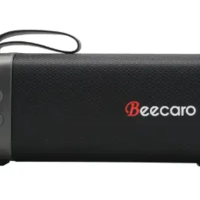 Beecaro Gf401