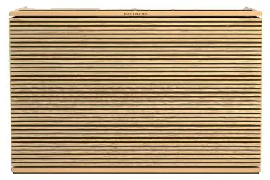 Karşılaştırma Bang  Olufsen Beosound Level {request()->input('language_config')['common']['with']} Proone Psd4635