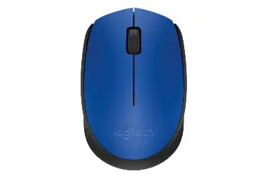 Logitech M170
