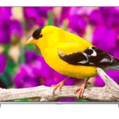 Tcl 50P725I
