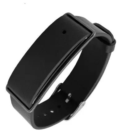 Huawei Honor Band A1