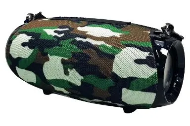 Leitu Lk 33