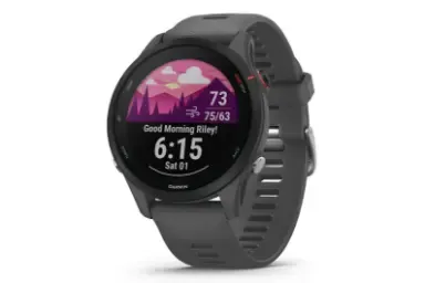 Garmin Forerunner 255S 46Mm