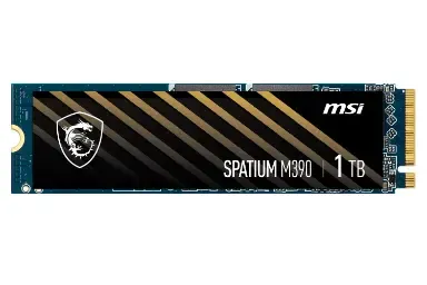 Resim Msi Spatium M390 Nvme M2 250Gb
