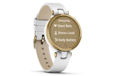 Garmin Lily Classic Edition