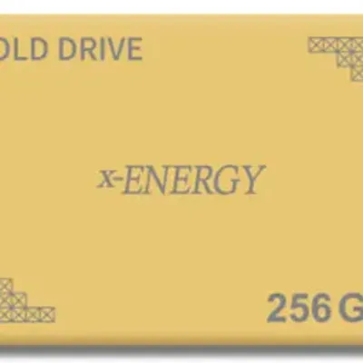 X Energy Gold Drive Sata 2 5 Inch 256Gb