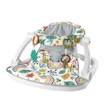 Fisher-Price HNR19 Mama Sandalyesi