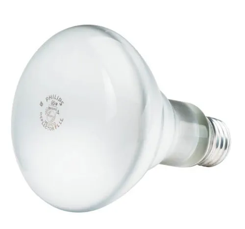Karşılaştırma Philips DuraMax Akkor Ampul İle Philips Akkor Dekoratif Boru Ampul