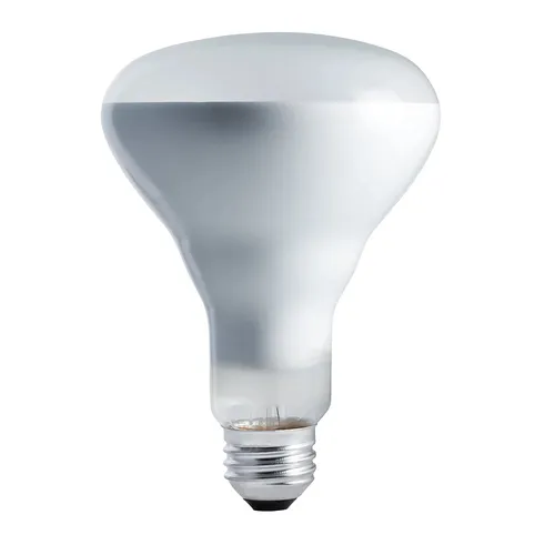 Karşılaştırma Philips Akkor Ampul İle Philips Özel Akkor Ampul