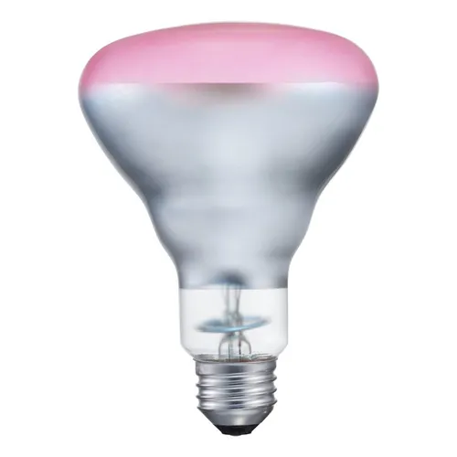 Karşılaştırma Philips Akkor Ampul {request()->input('language_config')['common']['with']} Philips Akkor Ampul
