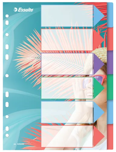 Esselte Colour'Breeze A4 6 Bölmeli Dizin Ayırıcı