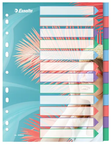 Esselte Colour'Breeze A4 12 Bölmeli Dizin Ayırıcı