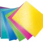 Leitz 46380099 Defter