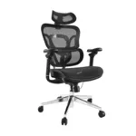 Equip Premium Ergonomik Ofis Koltuğu, Başlık ve Kolçaklı
