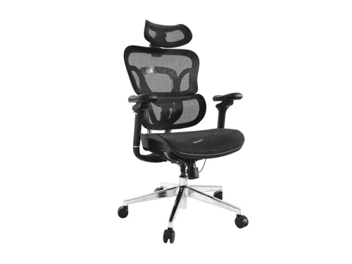 Resim Equip Premium Ergonomik Ofis Koltuğu, Başlık ve Kolçaklı