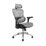 Equip Premium Ergonomik Ofis Koltuğu, Başlık ve Kolçaklı