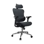 Equip Premium Ergonomik Ofis Koltuğu, Başlık ve Kolçaklı