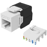 Equip Cat.6A Ara Bağlantı Jakı - Aracı Gerekmez, Korumasız