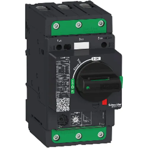 Resim Schneider Electric GV4P Emniyet Rölesi