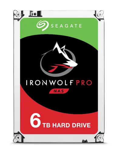 Seagate IronWolf ST6000NE0023 Dahili Sabit Disk