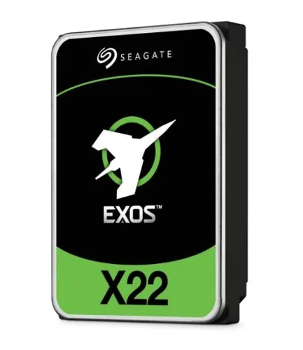 Seagate ST22000NM001E Dahili Sabit Disk