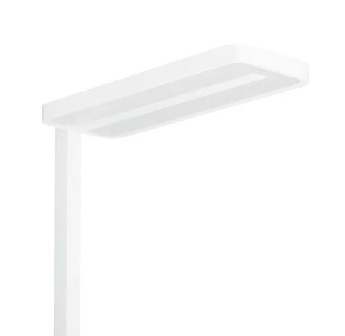 Philips FS484F Zemin Lambası