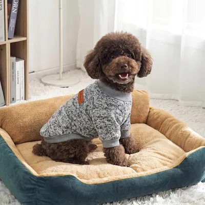 Thumbnail 2 of BAOBICUTE 3'lü Paket Köpek Kazakları Small M