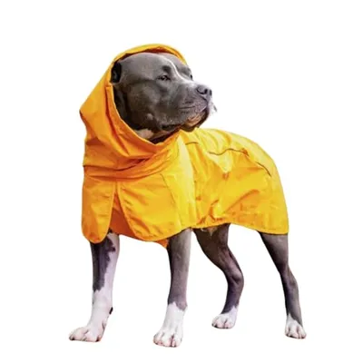 Spark Paws Köpek Yağmurluğu Hardal Sarısı 3XL
