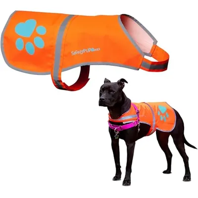 SafetyPUP XD Köpek Yeleği Büyük Turuncu