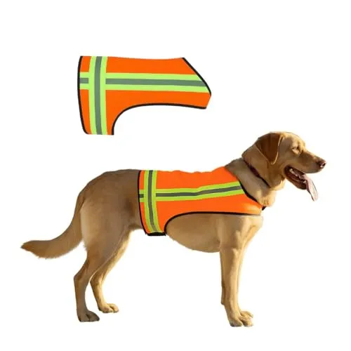 Resim BUDDY GLOW Reflektörlü Köpek Yeleği Turuncu Orta