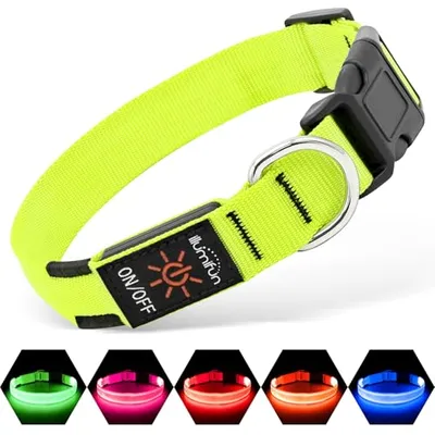 Illumifun LED Köpek Tasması Yeşil Büyük