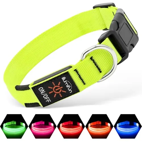 Resim Illumifun LED Köpek Tasması Yeşil Büyük