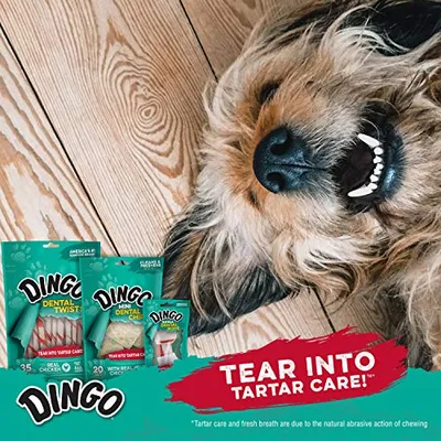 Thumbnail 5 of Dingo Dental Stick 48 Adet