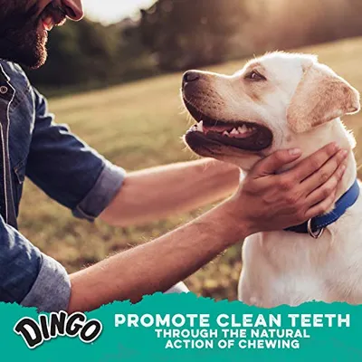 Thumbnail 6 of Dingo Dental Stick 48 Adet
