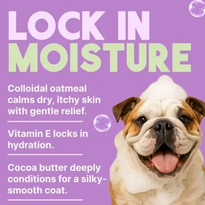 Thumbnail 4 of TropiClean Kivi Kakao Yağlı Köpek Kondisyoneri 20 oz