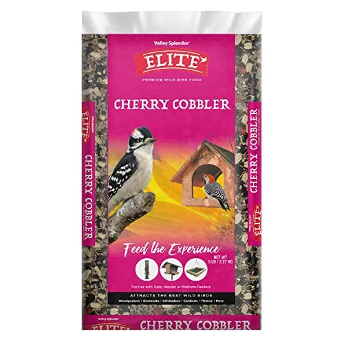 Resim Valley Splendor Kirazlı Cobbler Kuş Yemi 5 Pound